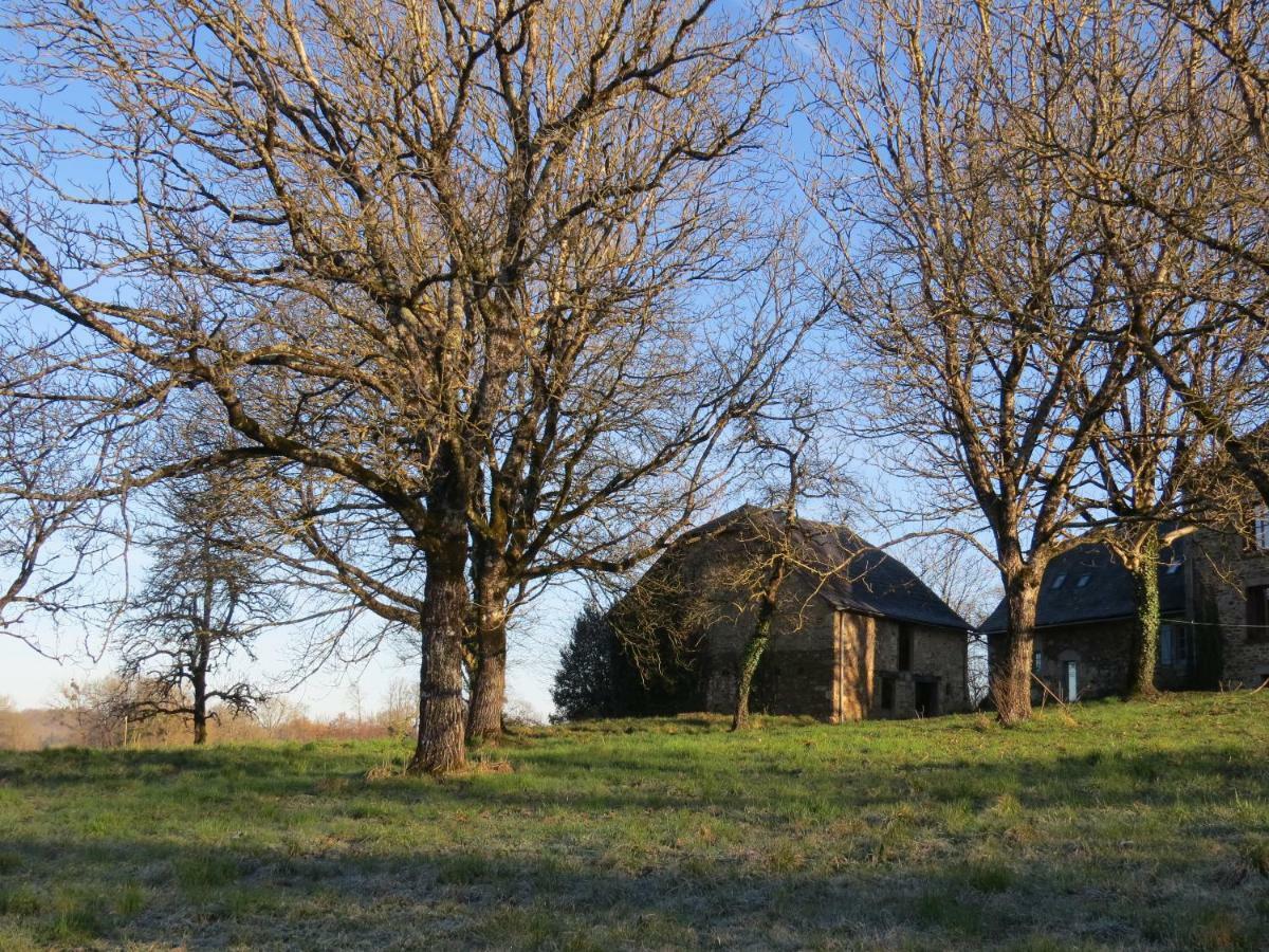 Domaine de la Clauzade Bed & Breakfast Saint-Germain-les-Vergnes Exterior foto